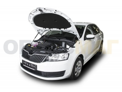Упоры капота Автоупор 2 штуки для Skoda Rapid 2012-2021