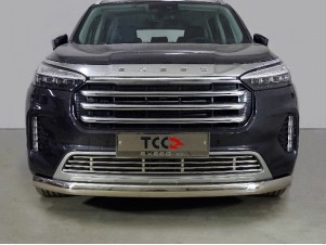 Защита передняя нижняя (овальная) 75х42 мм для Exeed VX 2.0L 4WD 2021 – н.в. EXEEDVX21-13