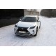 Защита переднего бампера 42 мм ТСС для Lexus RX-200t/350/450h 2015-2021