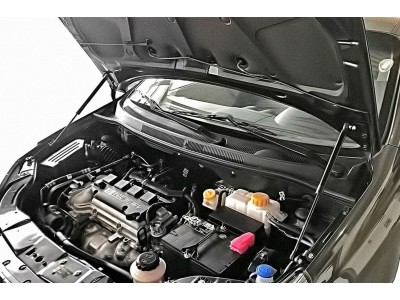 Упоры капота для CHEVROLET Nexia, RAVON Nexia R3, 2020-н.в., к-т 2 шт / Равон Нексия