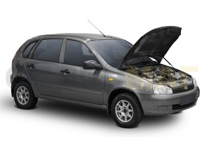 Амортизаторы капота Автоупор, 2 шт. для Lada Kalina 2004-2013