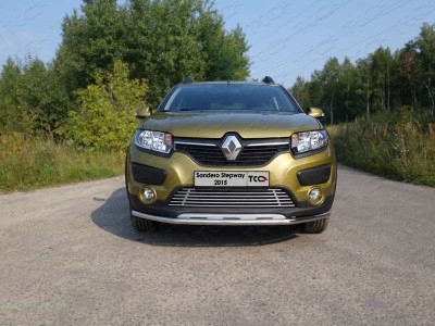 Защита переднего бампера 42 мм ТСС для Renault Sandero Stepway 2015-2018
