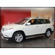 Пороги с листом d-53 для Toyota Highlander 2010-2013