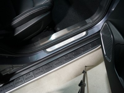 Накладки на пластиковые пороги (лист шлифованный) 4шт ТСС для Geely Atlas PRO 1.5L 4WD 2021 – н.в.