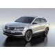 Пороги алюминиевые Rival Premium Black для Skoda Karoq 2020-2021