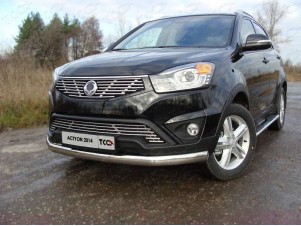 Защита передняя овальная 75х42 мм для SsangYong Actyon № SSANACT14-02